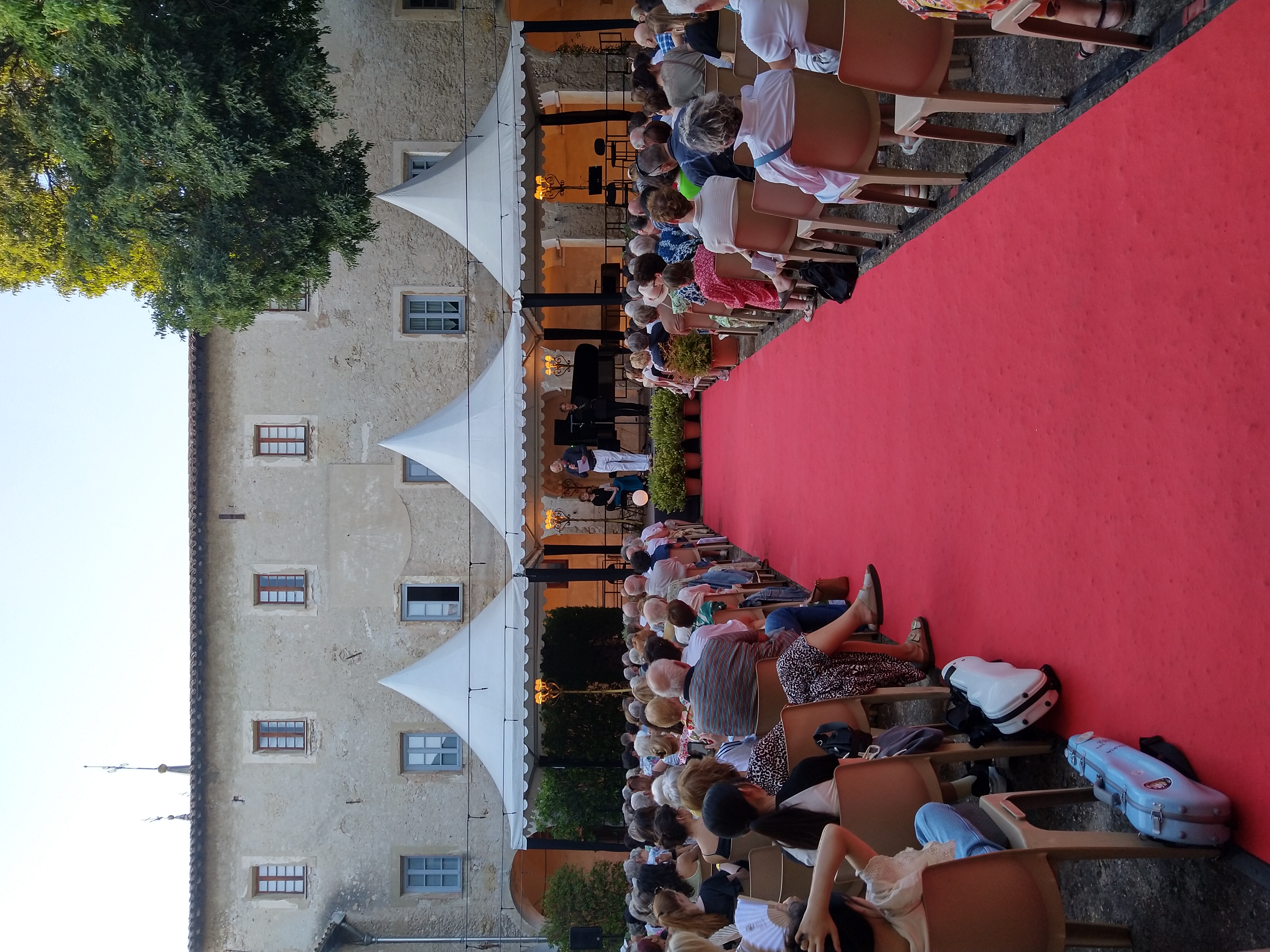 IMG_20260722_201237.jpg